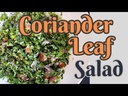Semillas de cilantro 1Lb