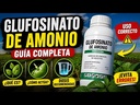 Herbicida Glufoxone CS Glufosinato de amonio 18,4%