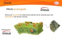 Insecticida Eticus 100g