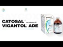 Catosal B12 de 100mL Elanco