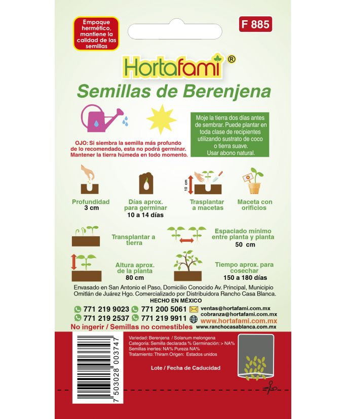 Muestras de semillas de berenjena