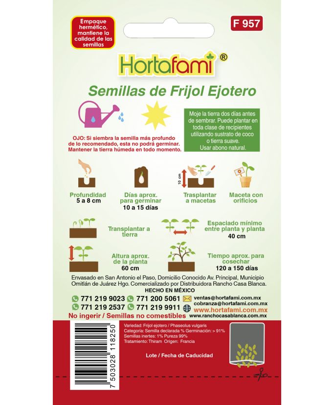 Muestras de semillas de habichuela