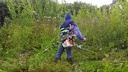 Desbrozadora STIHL FS-250 2.1HP. Motor de 2T