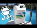 Galón de alguicida-bactericida Algapol 20Kg