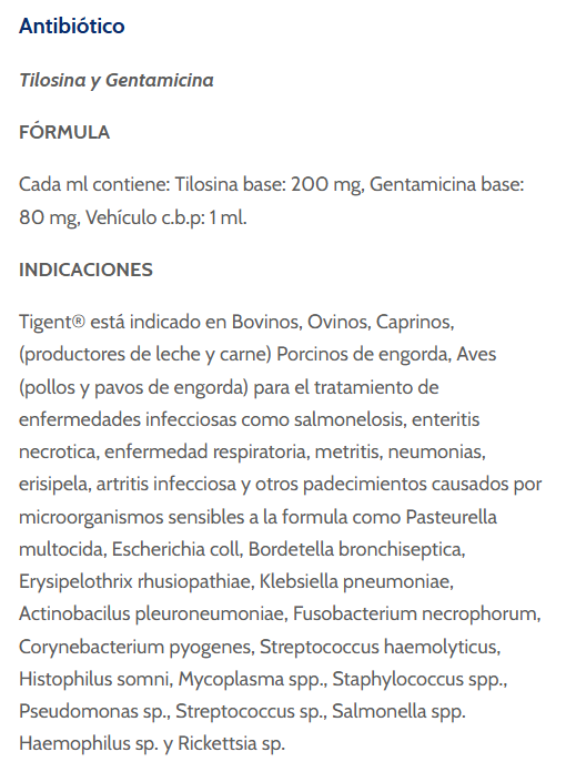 Antibiótico Tigent 100mL (Biozoo)