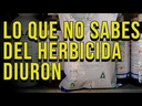 Herbicida Karmex 80XP 1Kg