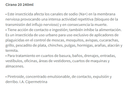 Insecticida Cirano 20 - Cipermetrina 240mL