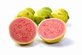 Guava stock
