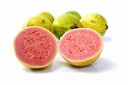 Guava stock