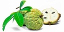 Sugar apple stock