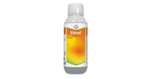 Regulador de crecimiento Ethrel (1 Litro)