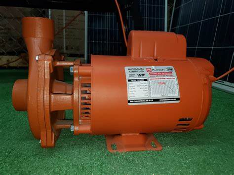 Múnich Centrifugal Motor Pump. Siemens Engine