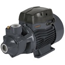 TRUPER 1HP peripheral Pump