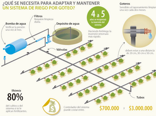 Sistema de riego español de 1 hectárea