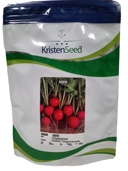 Champion radish Seeds