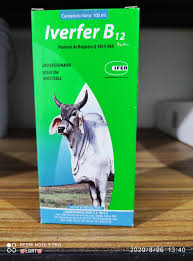 Antiparasitario Iverfer B12 (100mL)