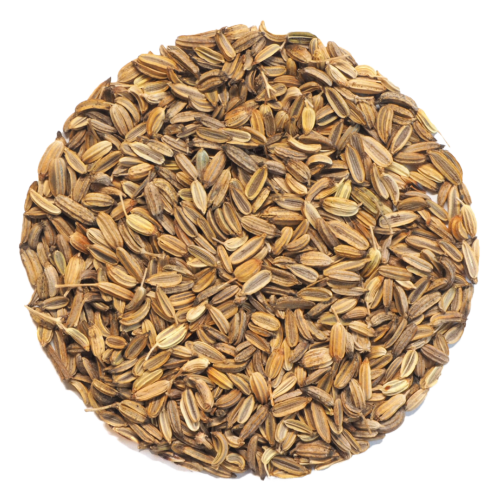 Coriander Seeds sample