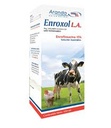 [FLL777.1894] Antibiótico Enroxol LA 250mL