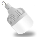 Rechargeable portable emergency bulb w/ USB interface