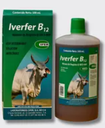 Antiparasitario Iverfer B12 (250mL)