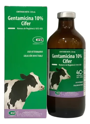 Antibiótico Gentamicina 10% Cifer 250mL