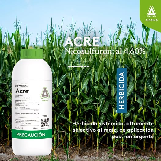 Herbicida Acre 1Lt (i.a.: nicosulfuron)