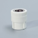 [FLLRE3123] S20-½ PPR female fitting w/ brass insert