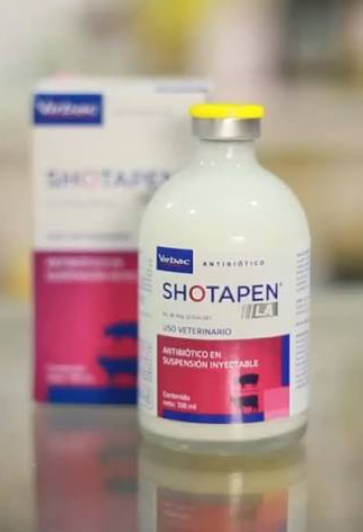Antibiótico Shotapen L.A. 100mL
