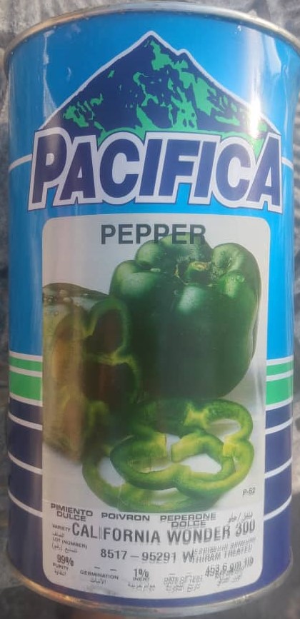 Semillas de chile California Wonder. 1Lb