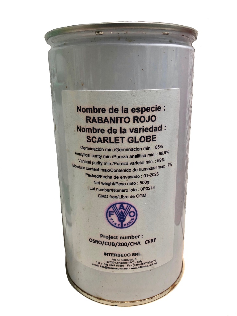 Semillas de rabanito rojo