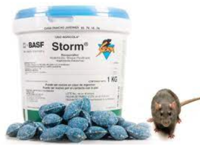 Rodenticida Storm 1Kg