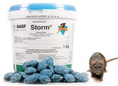 Rodenticide Storm 1Kg