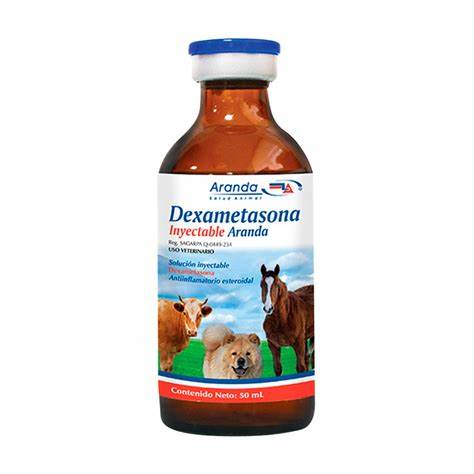 Dexametasona Iny. Aranda 50ml