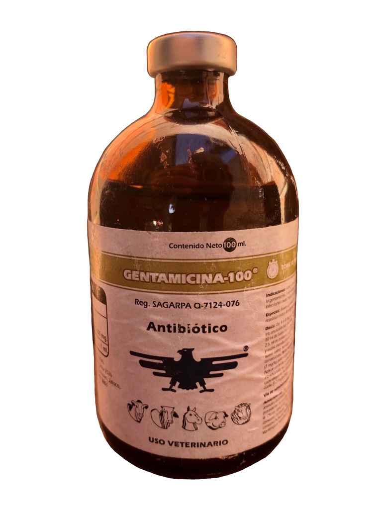 Gentamicina 100ml Prode
