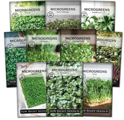 [FLL426] Seeds sample