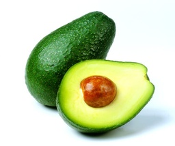 Grafted Avocados Plant