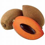Grafted Mamey Plant