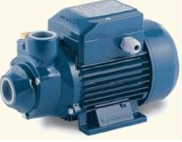 [FLLC742] PEDROLLO PKm65 V.220/60HZ Electric Pump