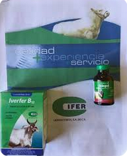 [FLL777.1323] Iverfer B 10mL
