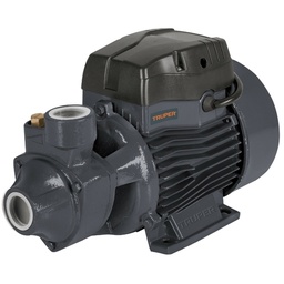 [FLL1348] TRUPER 1HP peripheral Pump