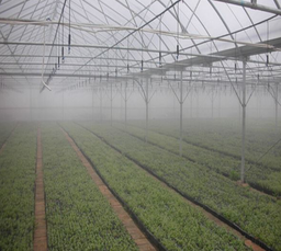 [FLLC1436] Sistema de riego chino por microaspersión