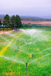 [FLLC1437] Sistema de riego chino de aspersores Meganet