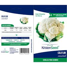 [FLL1565] Muestras de semillas de coliflor