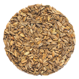 [FLL1566] Coriander Seeds sample