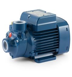 [FLLC1668] PEDROLLO Pkm65 V110/60Hz Electric Pump