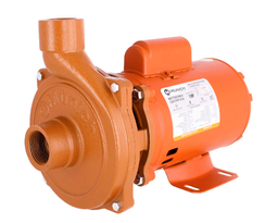 [FLL115] Single-Phase 1 HP Múnich MOT1-2 Centrifugal Motor Pump