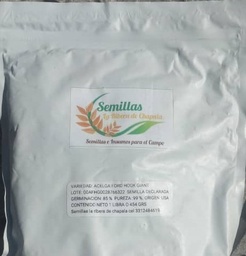 [FLL172] Semillas de Acelga FORD HOOK GIANT