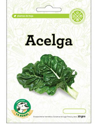 [FLL344] Spanish chard Seeds 250g