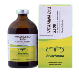 [FLL265] Vitamina B12 5500 (100mL)